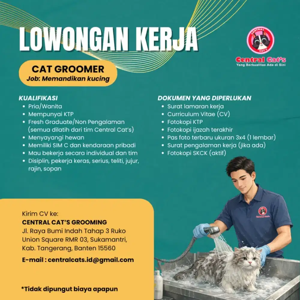 LOWONGAN KERJA CAT GROOMER