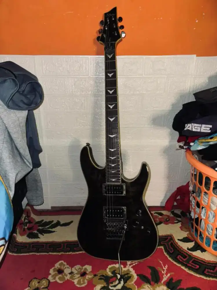 gitar schecterr