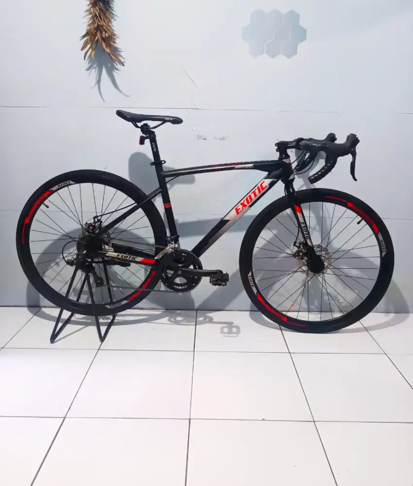 Sepeda Roadbike