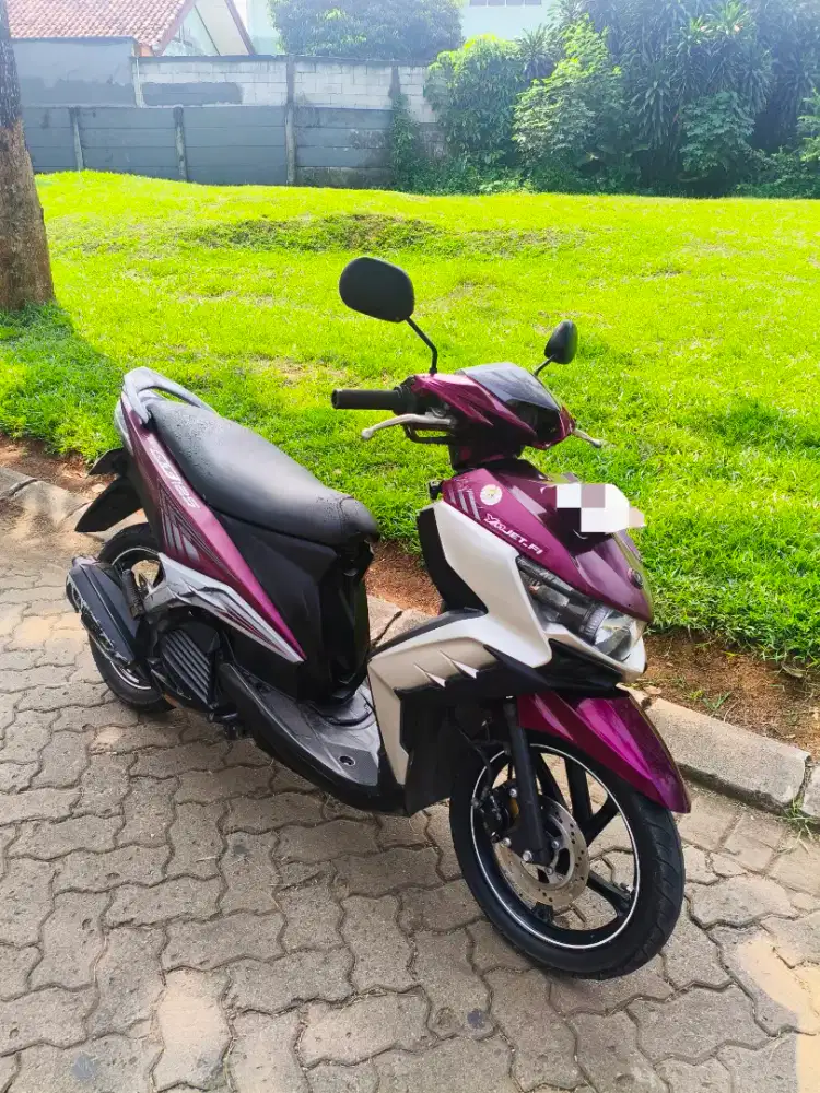 XEON GT 2014 MURAHHH