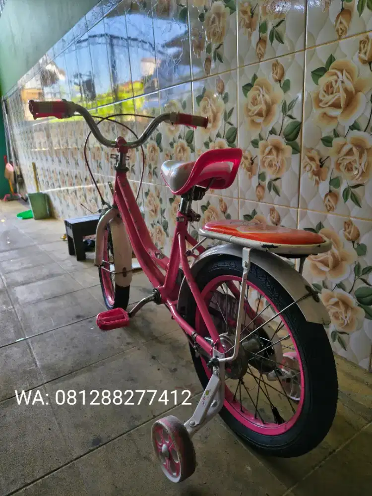 Sepeda anak perempuan warna pink merk evergreen daisy