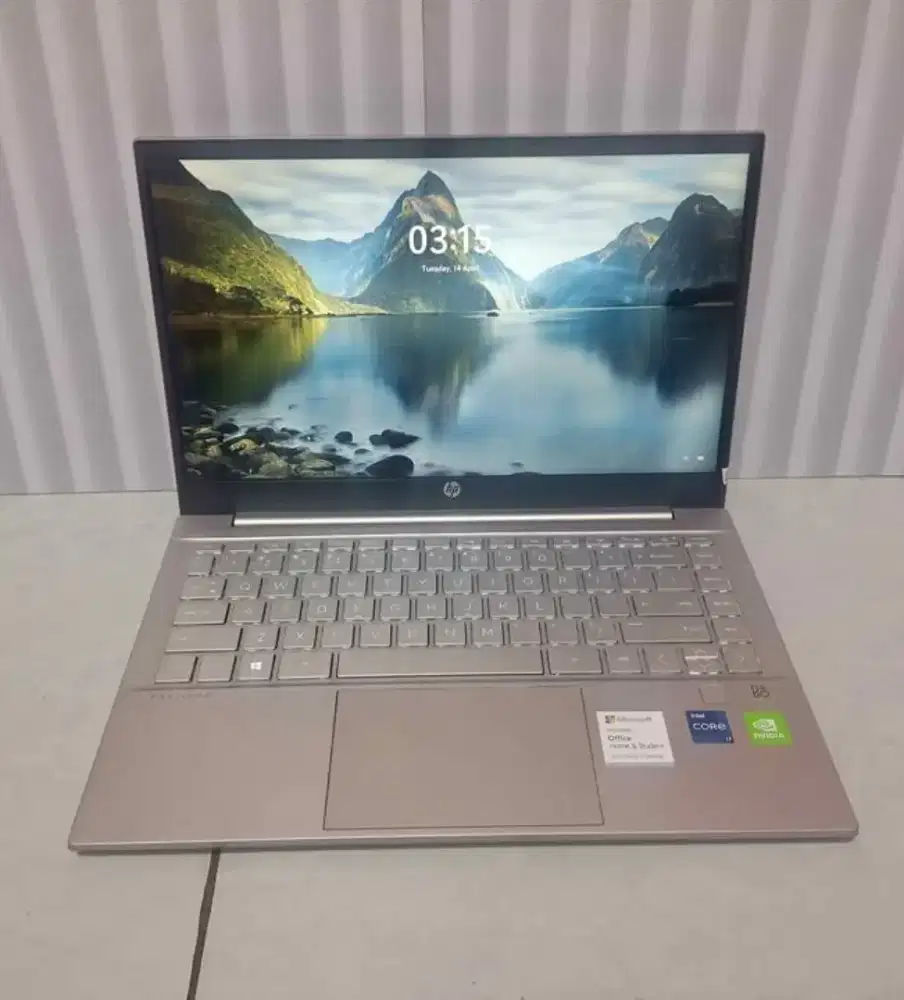 HP Pavilion 14 - DV0XXX