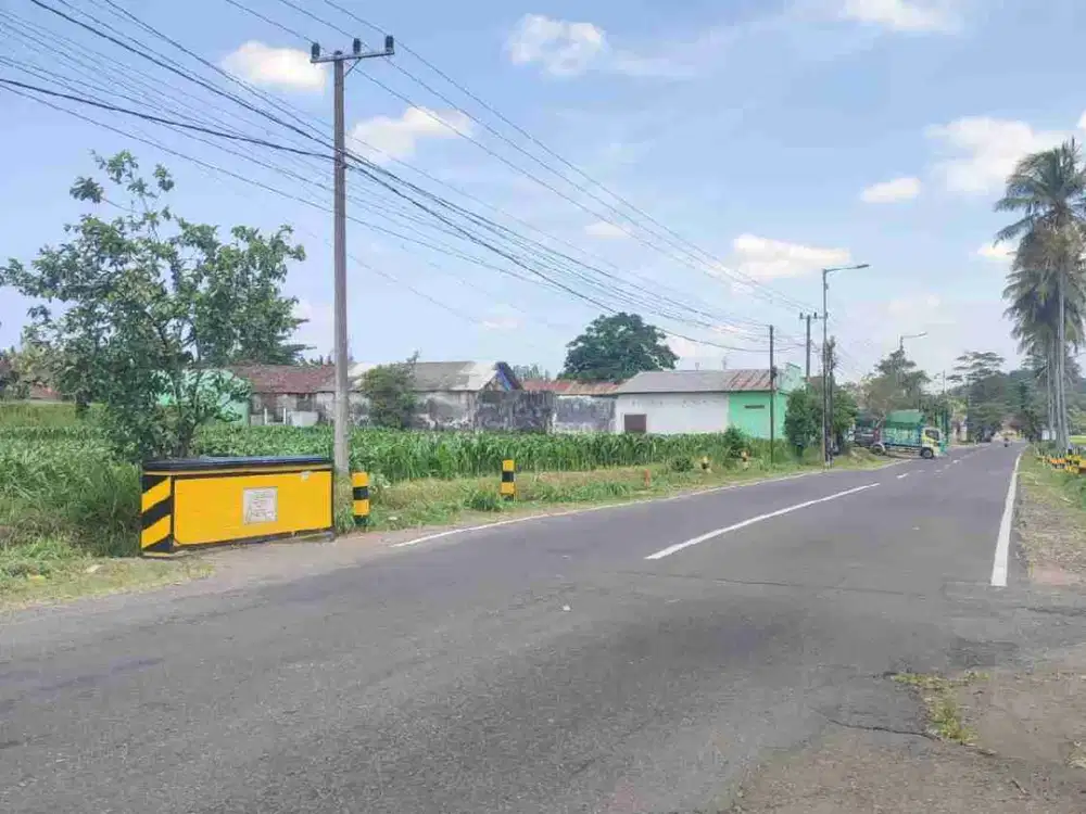 Dijual Tanah di Kalisat Jember