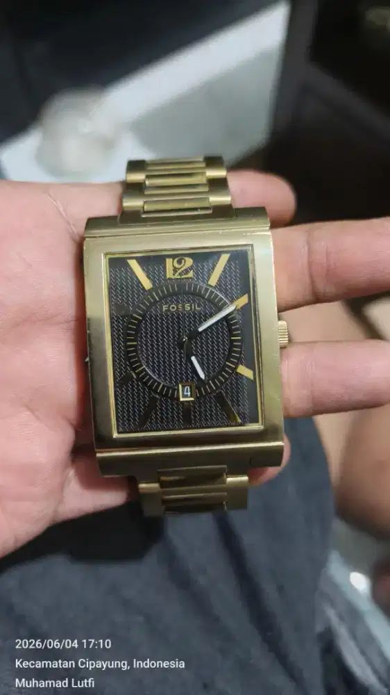 Fossil original langka ukuran besar dan tebal