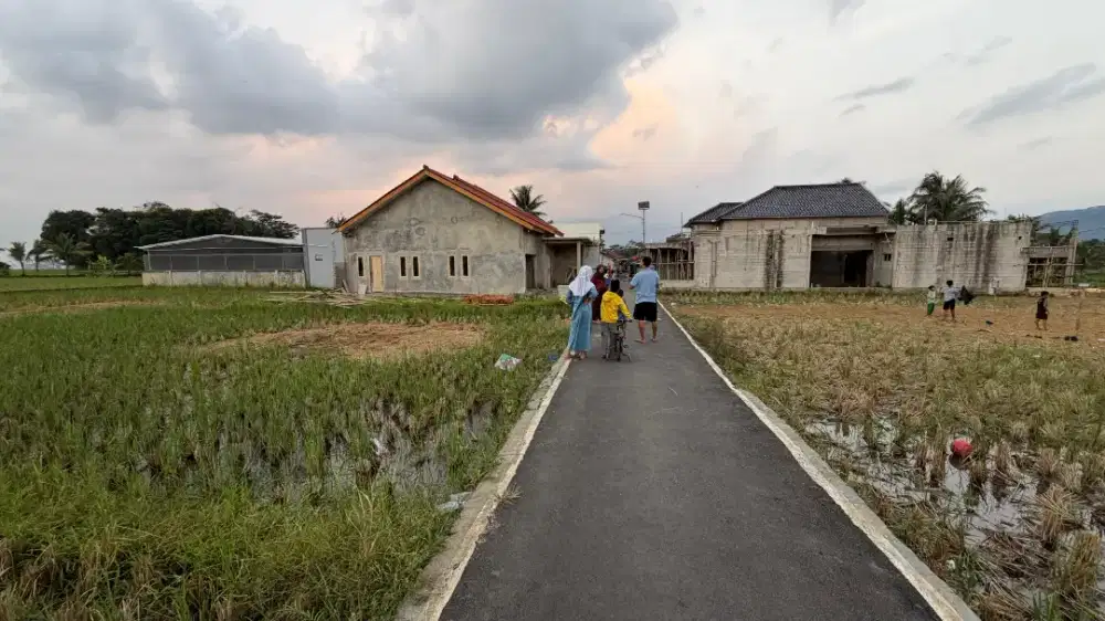 Sawah SHM produktif bisa jadi vila atau rumah Cibeber Cianjur.