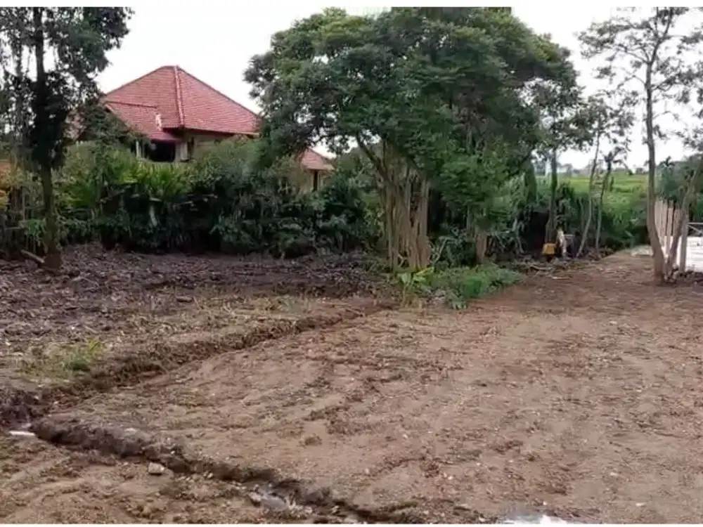 PREMIUM LAND TUMBAK BAYUH PERERENAN CLOSE TO CANGGU