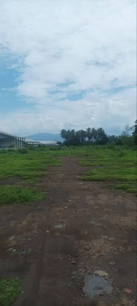 JUAL TANAH CEPAT
