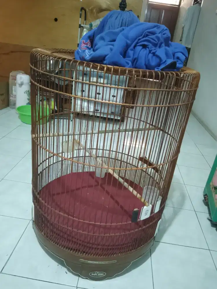 Kandang Murai Rafi Jaya