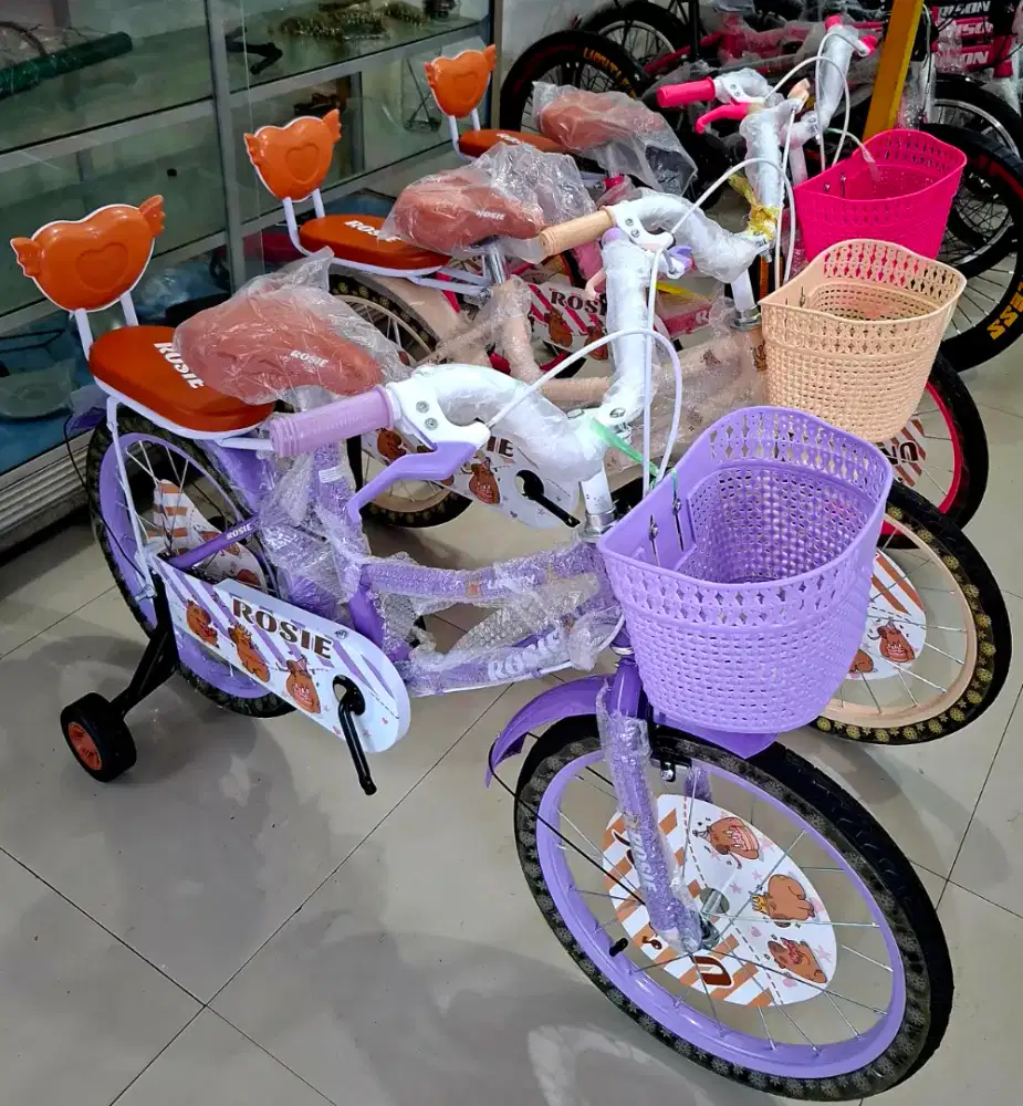 Sepeda Anak Perempuan Sepeda Mini CTB 18 Inch UNITY ( CAPIBARA )