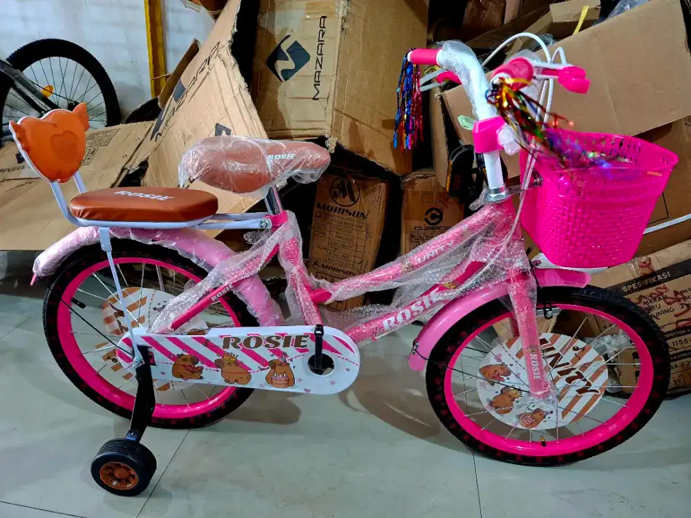 Sepeda Anak Perempuan Sepeda Mini CTB 18 Inch UNITY ( CAPIBARA )