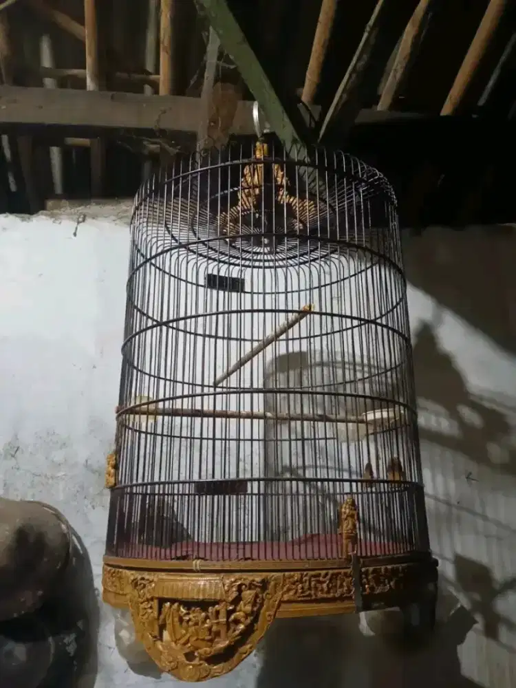 kandang murai jati ukir no.3