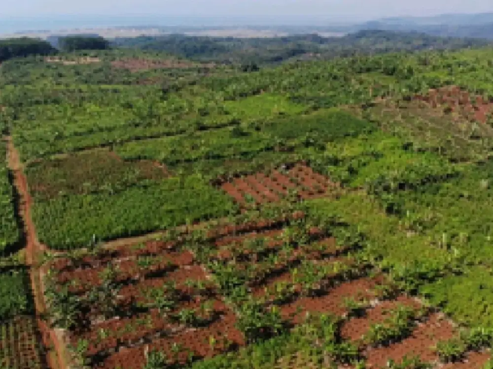 Dijual Harga Promo Tanah Industri  dan SHGB Di Batang Jawa Tengah