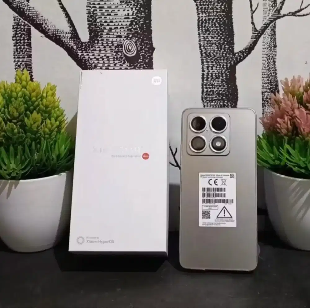 Xiaomi 14T 12/512