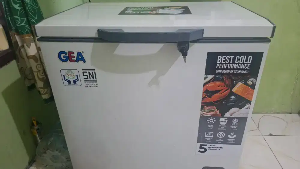 Freezer Box GEA 210 L