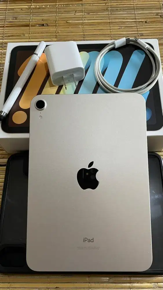 iPad Mini 6 Starlight