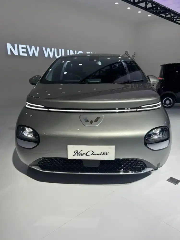 New Cloud EV LITE vin 2025