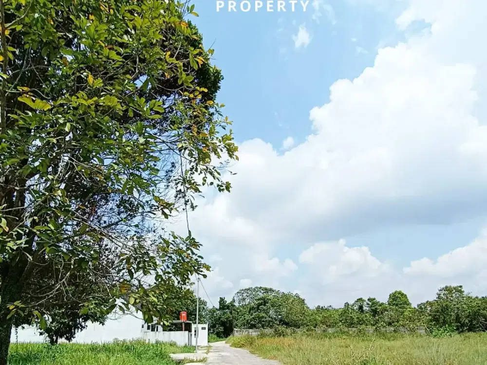 JUAL CEPAT TANAH KAVLINGAN COCOK UNTUK PERUMAHAN DI TANGKERANG LABUAI JL. KESADARAN (SUKA MULIA) PEKANBARU
