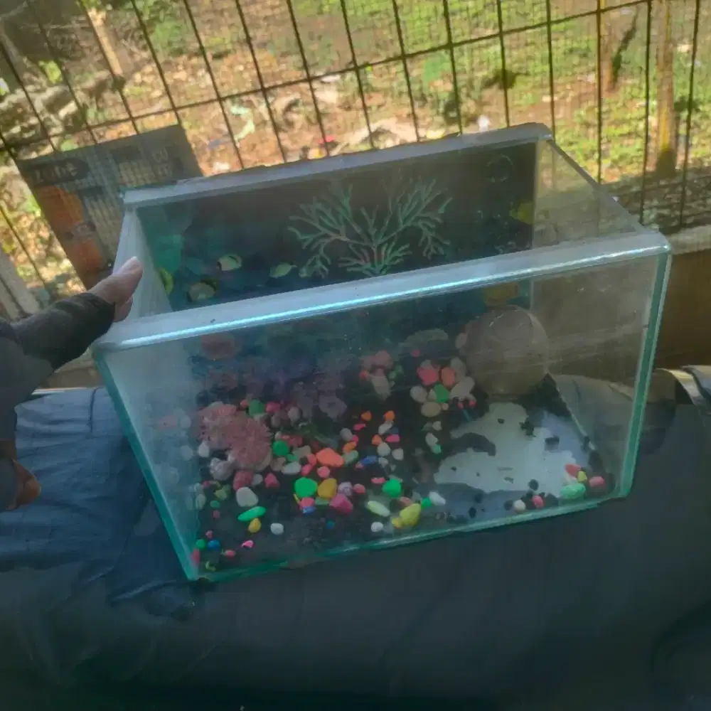 Aquarium masih layak digunakan