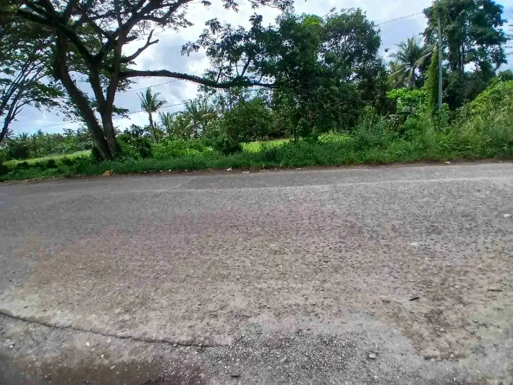 Jual Tanah Di kab.Sorong Mariat Pantai Ukuran 75 X 100