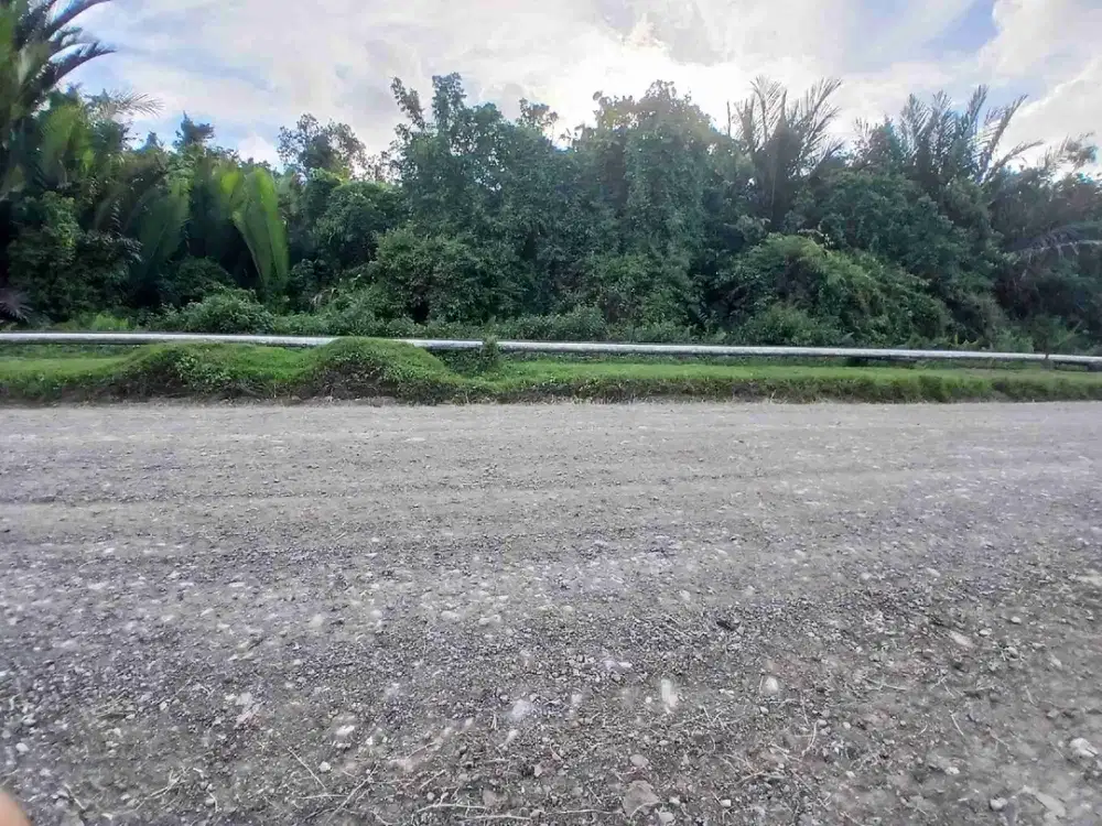 Jual Tanah 2 Hektar Jln.Kontener dekat Gerbang masuk pelabuhan