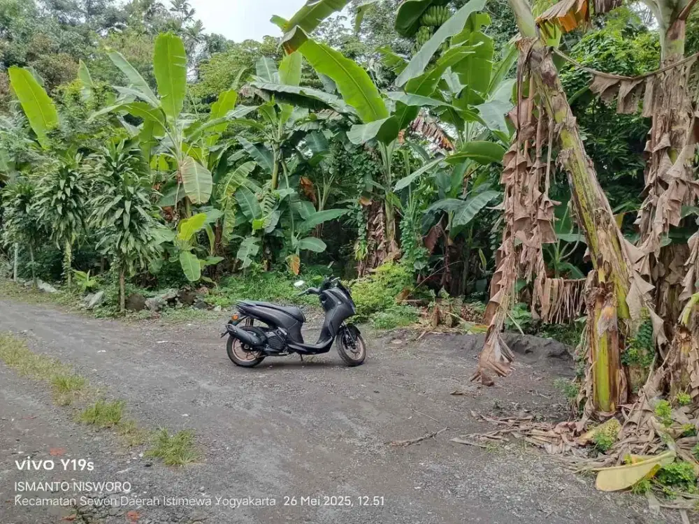 Dijual Tanah Pekarangan Kosong di Panggungharjo Sewon Bantul