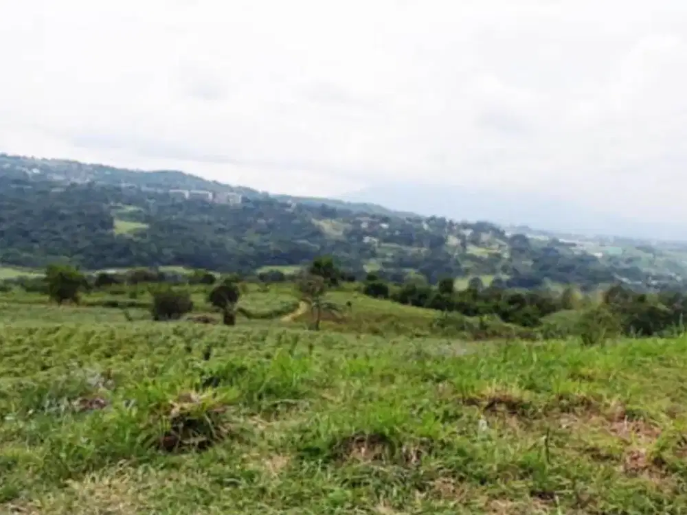 Tanah Rainbow Hill, Jl Bukit Pelangi Permai, Sentul Bogor