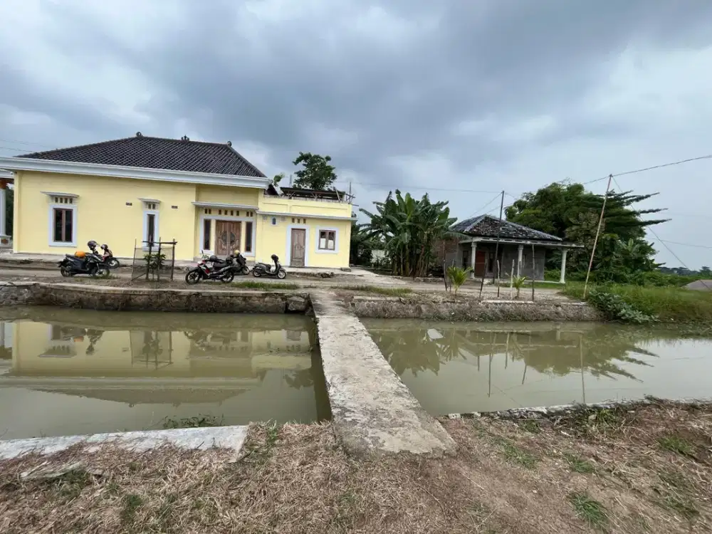 JUAL TANAH BISA DI ANSGUR SAMPAI 5TH HARGA MERAKYAT