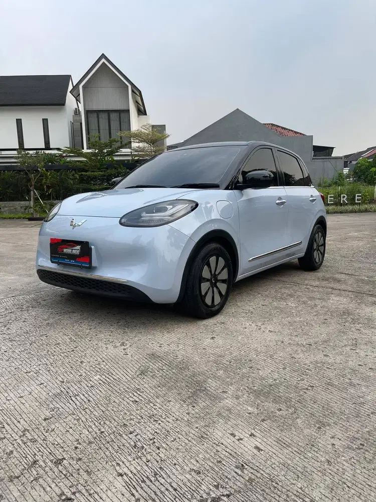 Binguo EV Premium Range 410km 2024