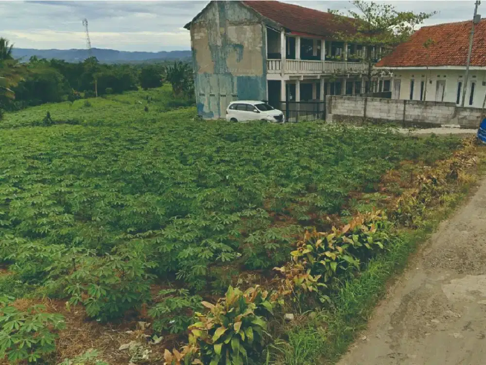 Kesempatan Investasi Properti di Kawasan Berkembang Ciampea