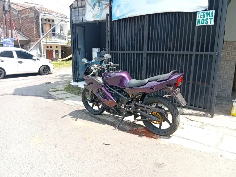 Ninja RR Old 2011