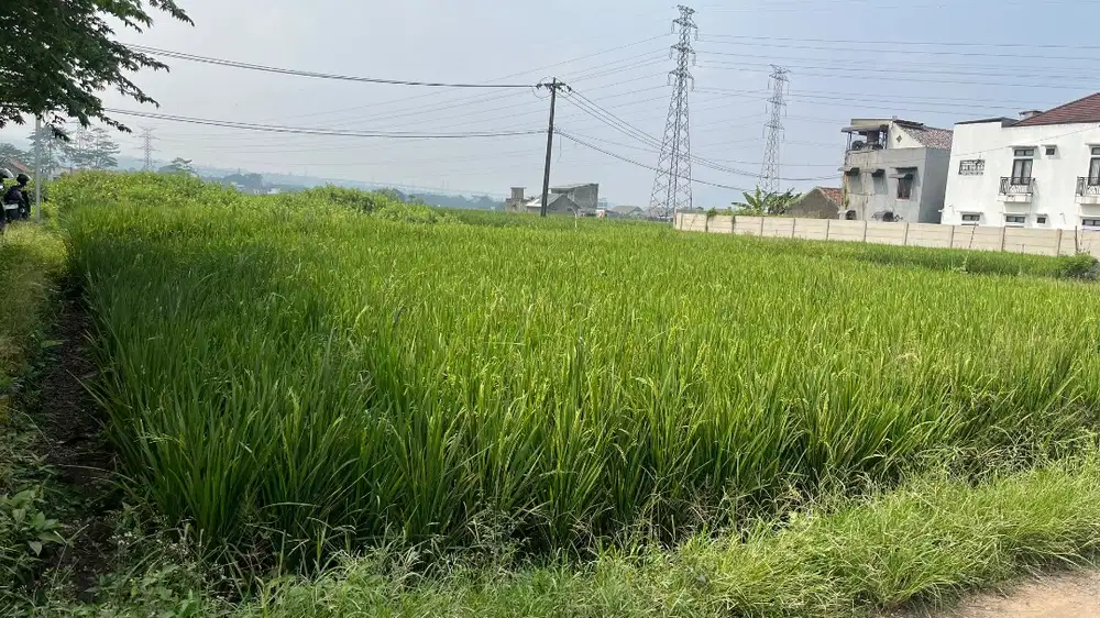 DIJUAL CEPAT SAWAH PINGGIR JALAN DEKAT KBP DAN KOTA BALI