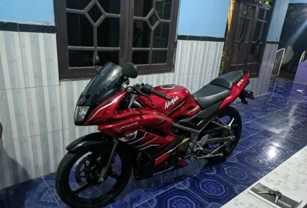 Kawasaki Ninja 150 RR 2016