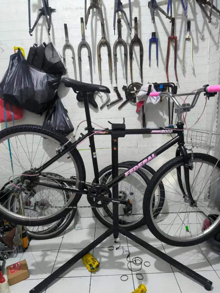 Sepeda Commuterbike Federal