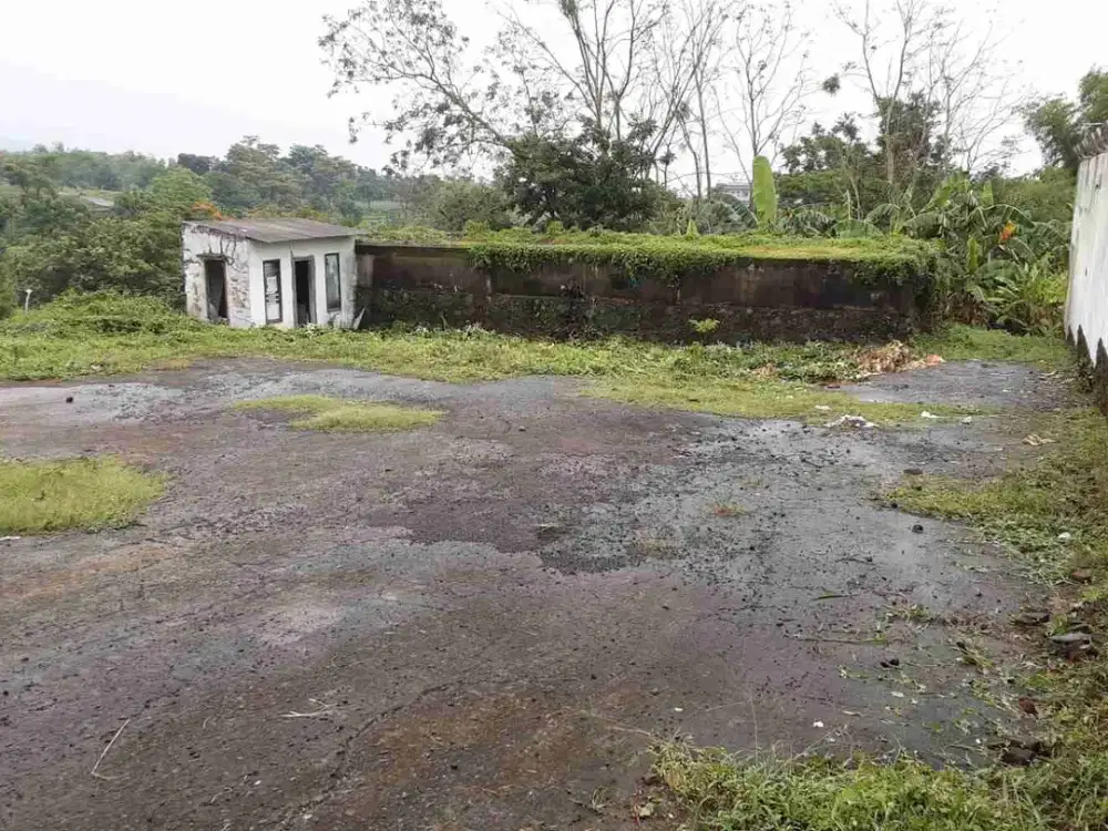 Tanah Produktif dengan sumber mata air artesis