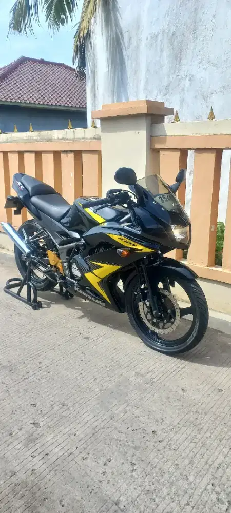 Kawasaki ninja rr new