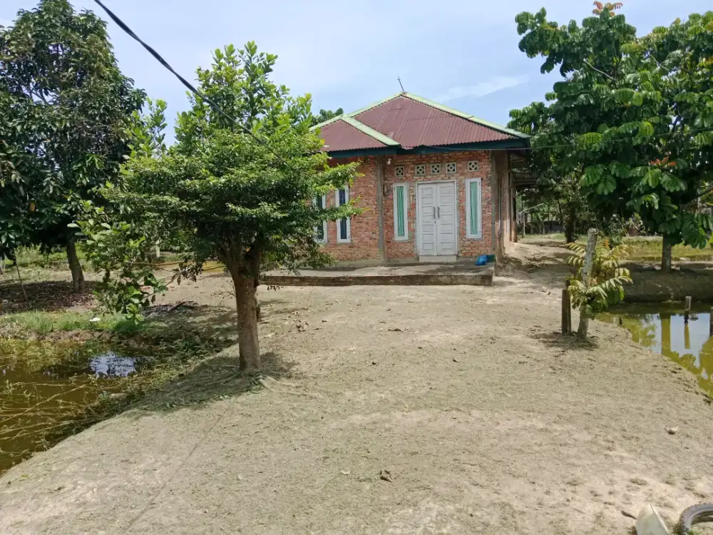 Dijual kebun beserta kolam ikan dan rumah