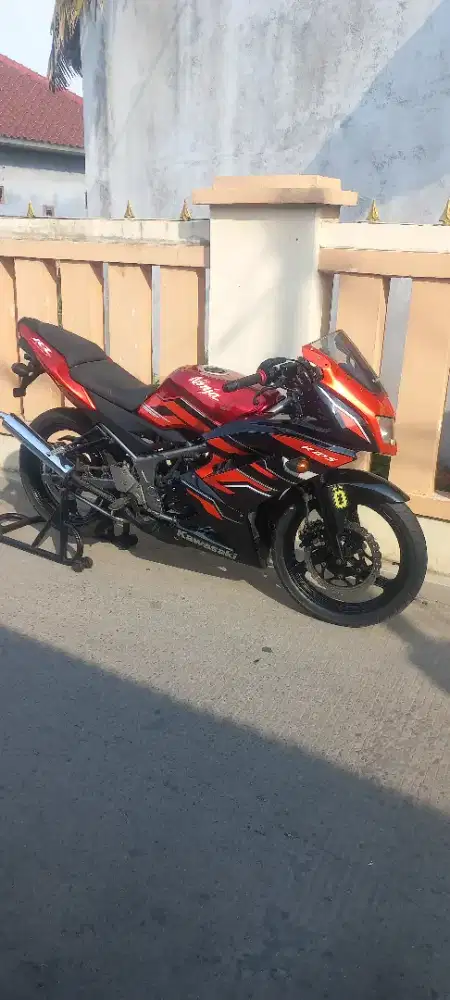 Kwasaki ninja rr new