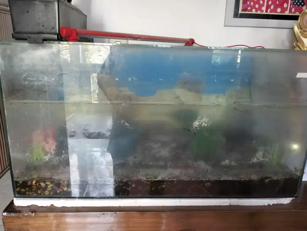 Di jual akuarium.ikan