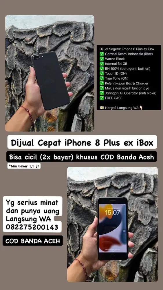 iPhone 8 Plus iBox