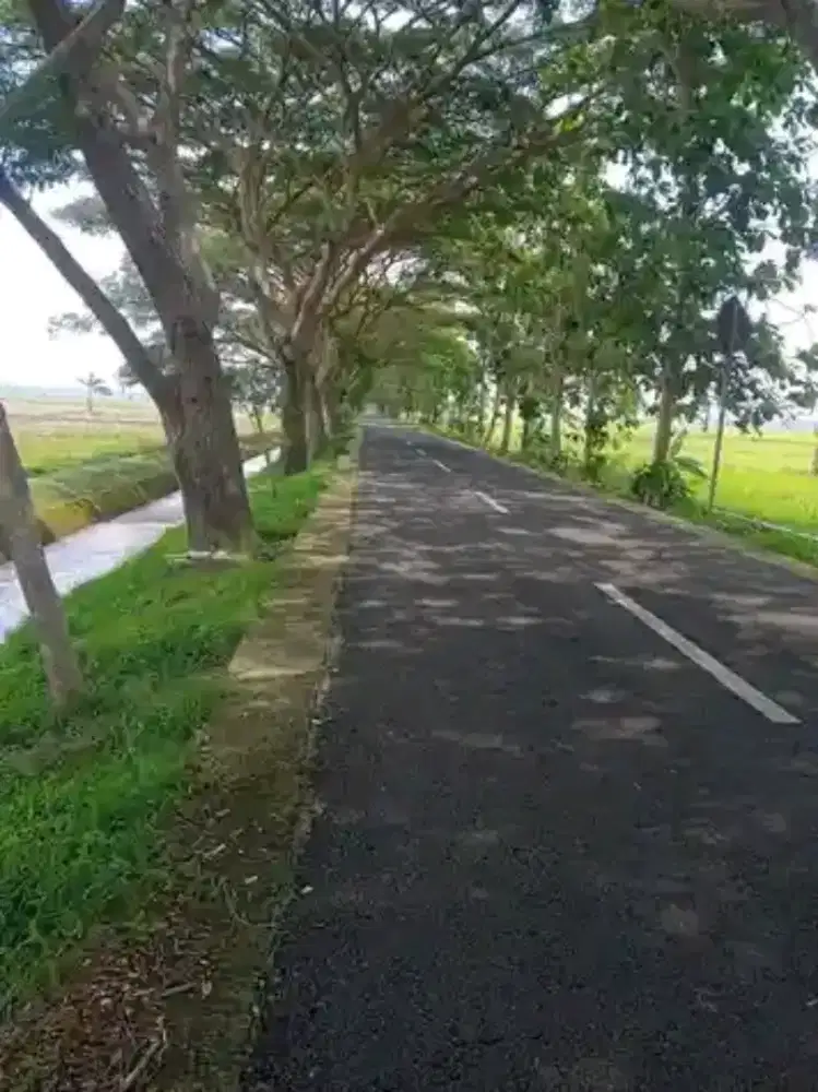 Cari kerjaan apa aja