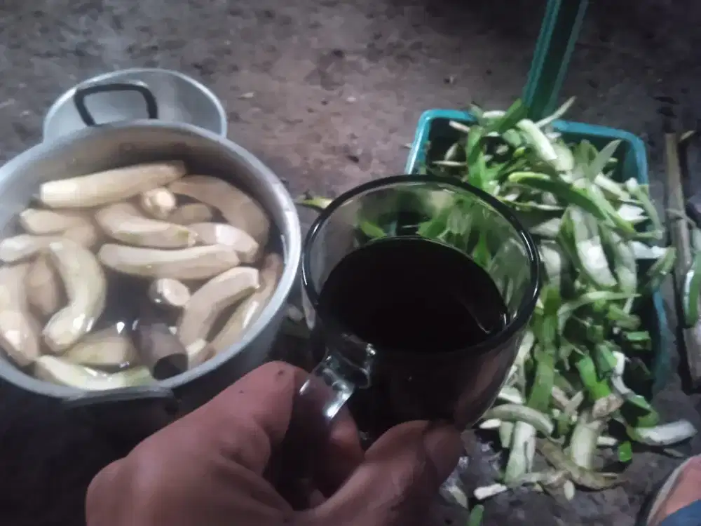 Cari pekerjaan apa aja