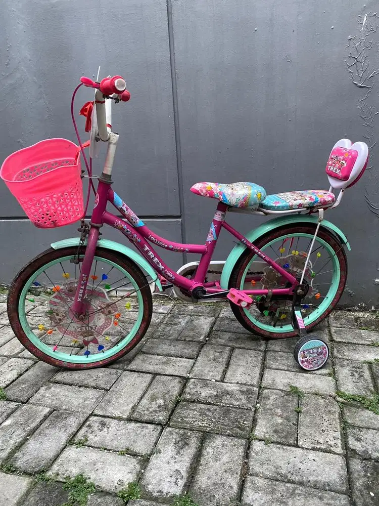 Sepeda anak wanita