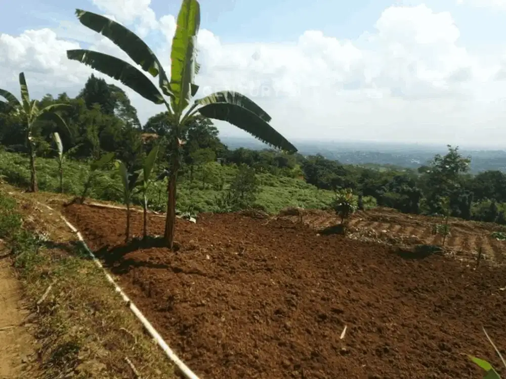 Dijual Tanah Kavling Di Di Sentul Cijayanti Bogor