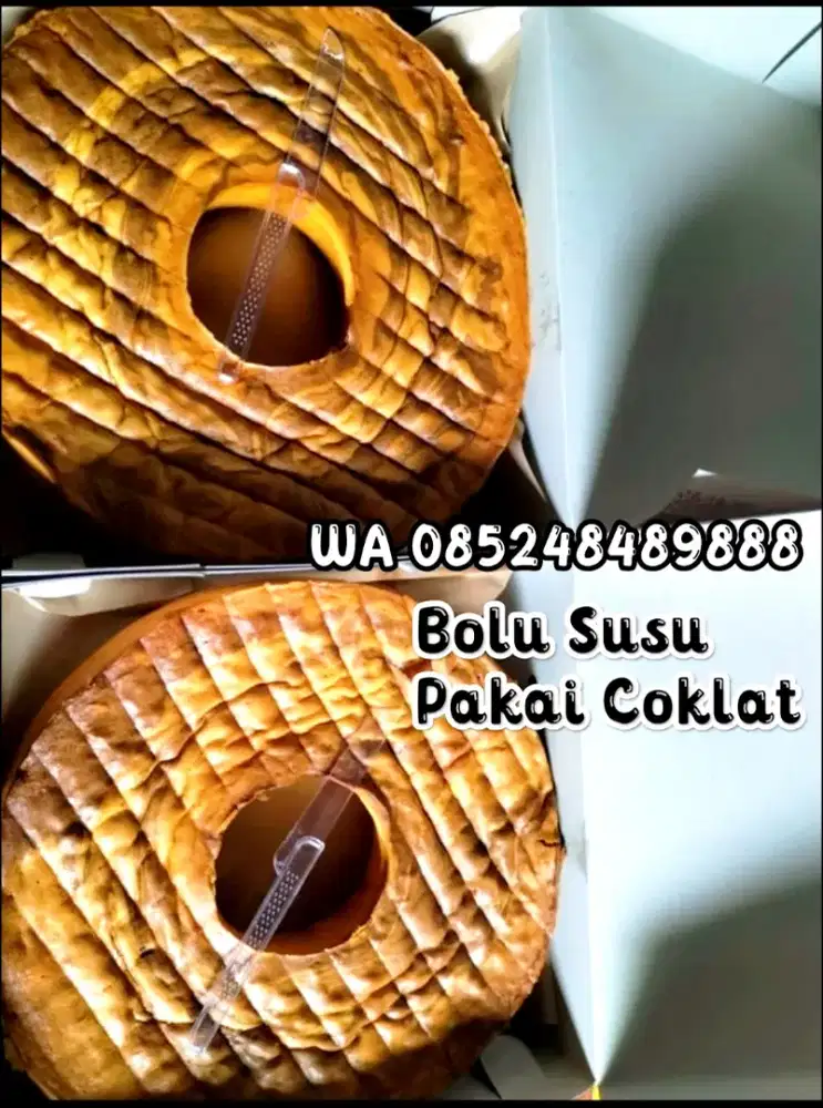 Bolu susu endulita