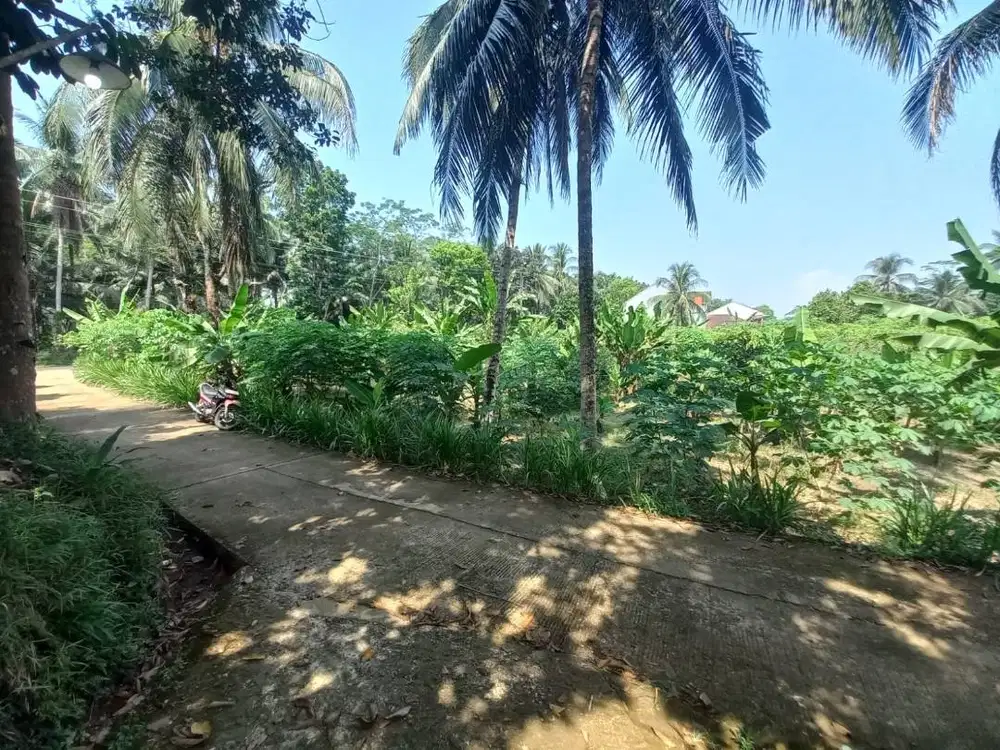 Tanah hug Kaligondang Purbalingga
