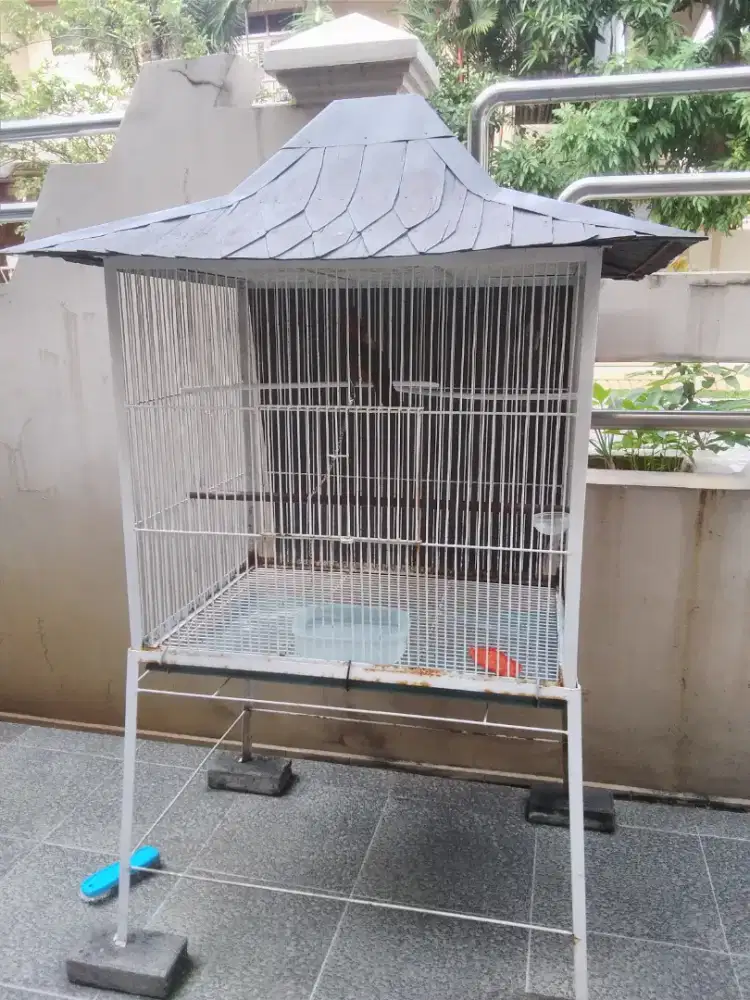 Kandang burung / ayam bonus isinya .