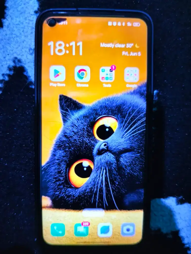 Oppo A96 8/256 GB (Free Case)