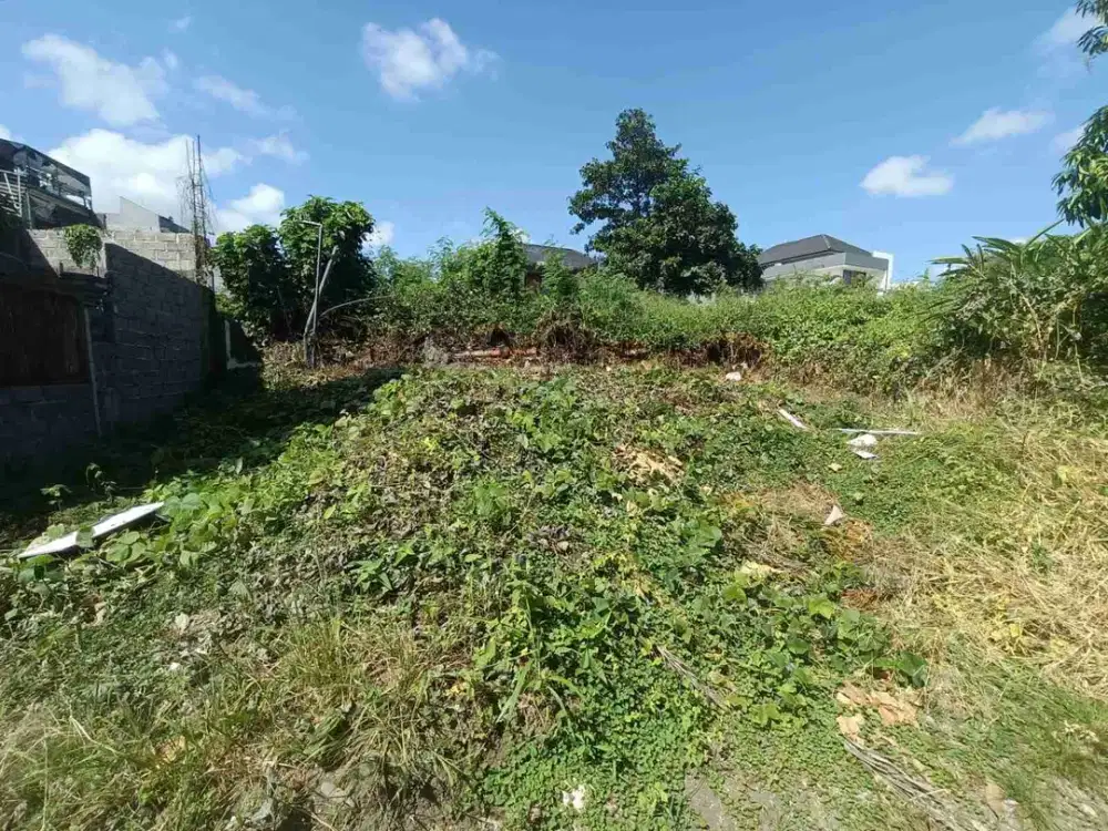 Tanah murah 95m2 Canggu idr 12,5jt/m2 - Thumbnail 3