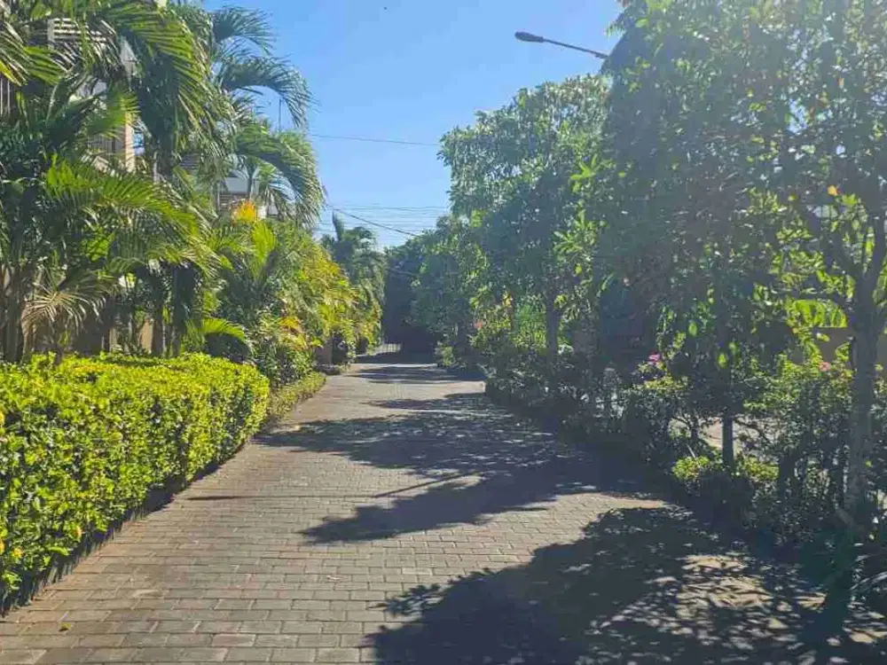 Tanah murah 95m2 Canggu idr 12,5jt/m2 - Thumbnail 5