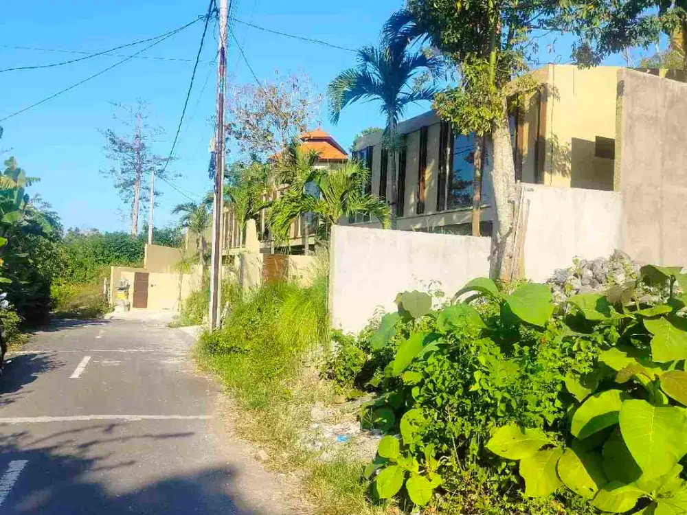 Tanah murah 95m2 Canggu idr 12,5jt/m2 - Thumbnail 6